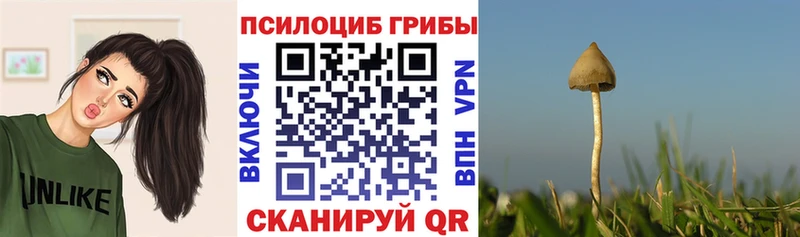 Псилоцибиновые грибы мухоморы  OMG ТОР  Медынь 